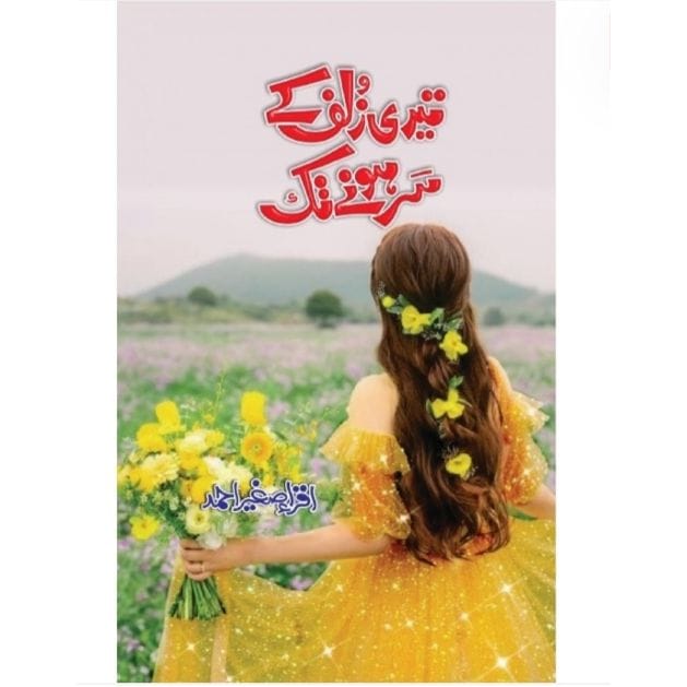 TERI ZULF KY SARR HONY TAKK (NOVEL)