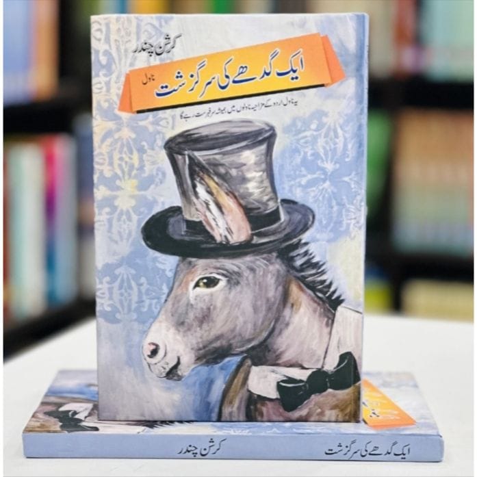 AIK GADHY KI SARGAZISHT (NOVEL)